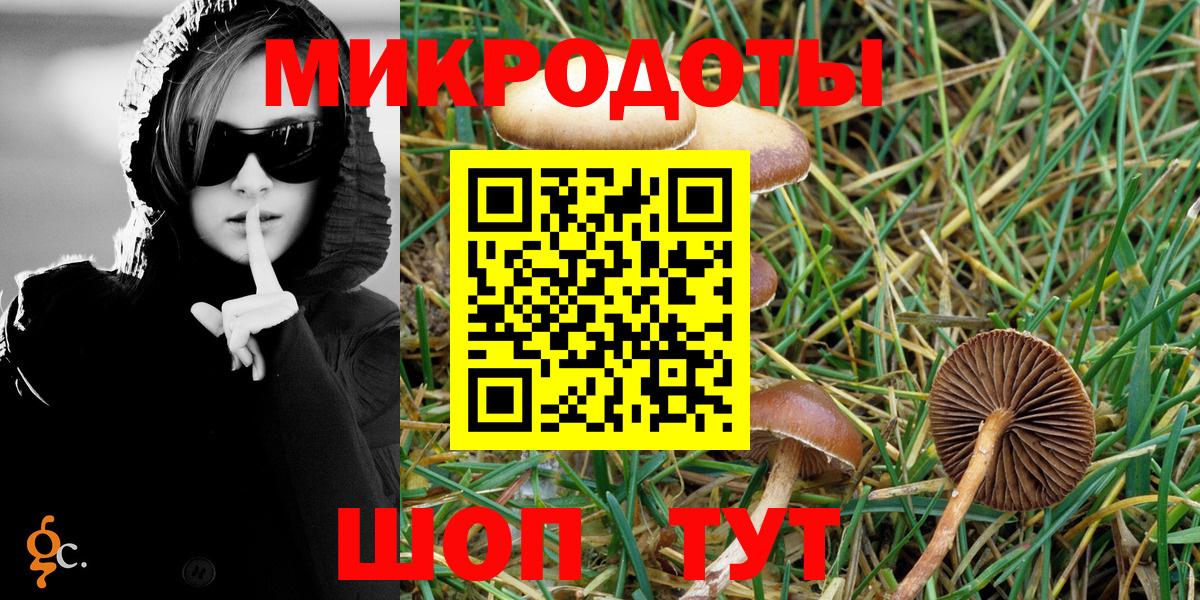Псилоцибиновые грибы Cubensis Клинцы