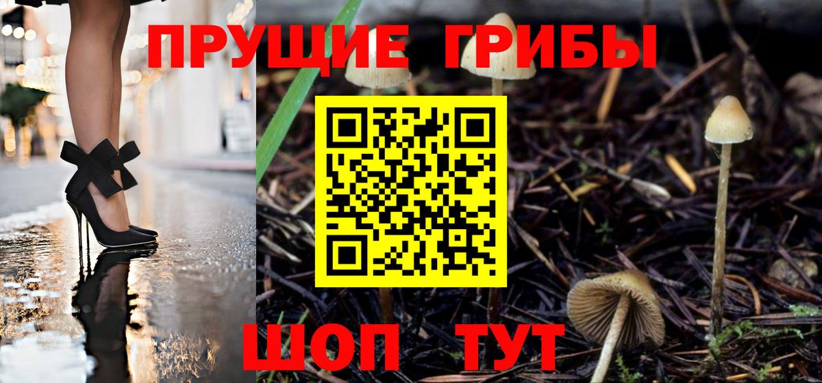 что такое наркотик  Галлюциногенные грибы ЛСД  Вход с VPN  Псилоцибиновые грибы GOLDEN TEACHER  Клинцы 